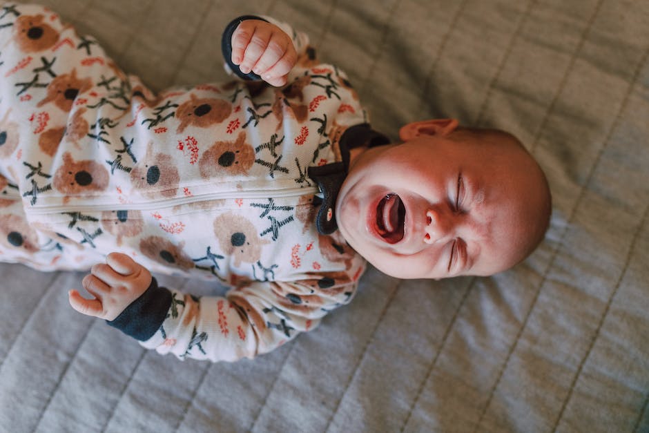  Warum Babys weinen: Ein Ratgeberbuch