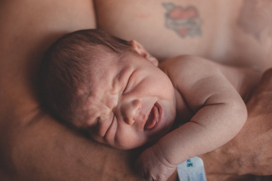  Warum Babys weinen: Ein Buch über das Verständnis und den Umgang mit Neugeborenen
