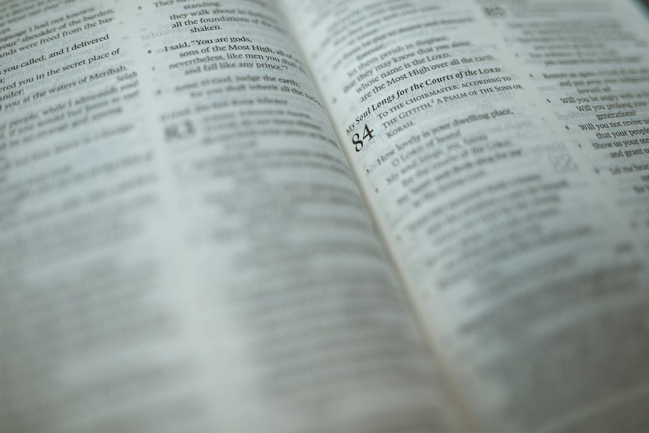 Bibel als besonders beeindruckendes Buch einstufen